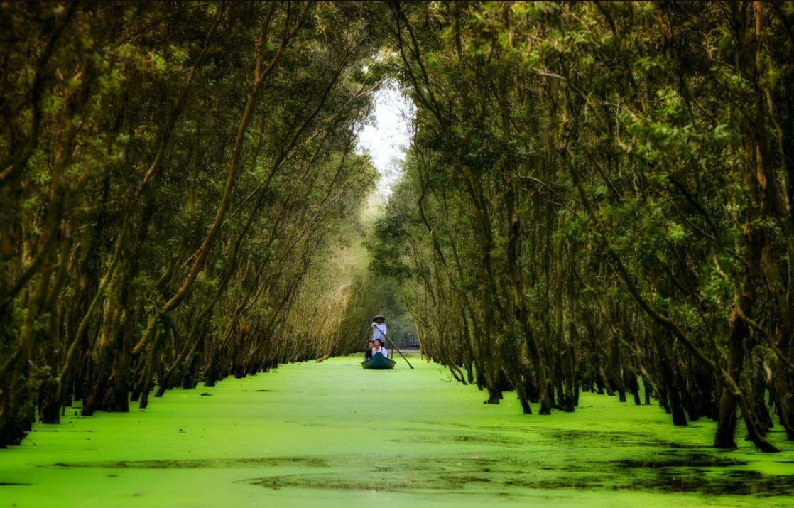 Exploring Tra Su cajuput forest: Vietnam wonderland of nature.