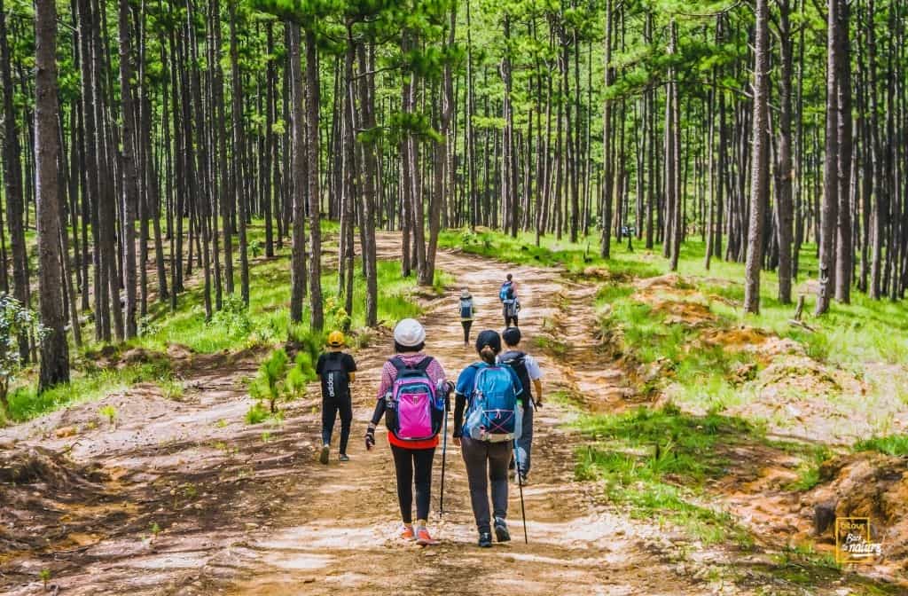 Dalat best things to do & travel guide 2025