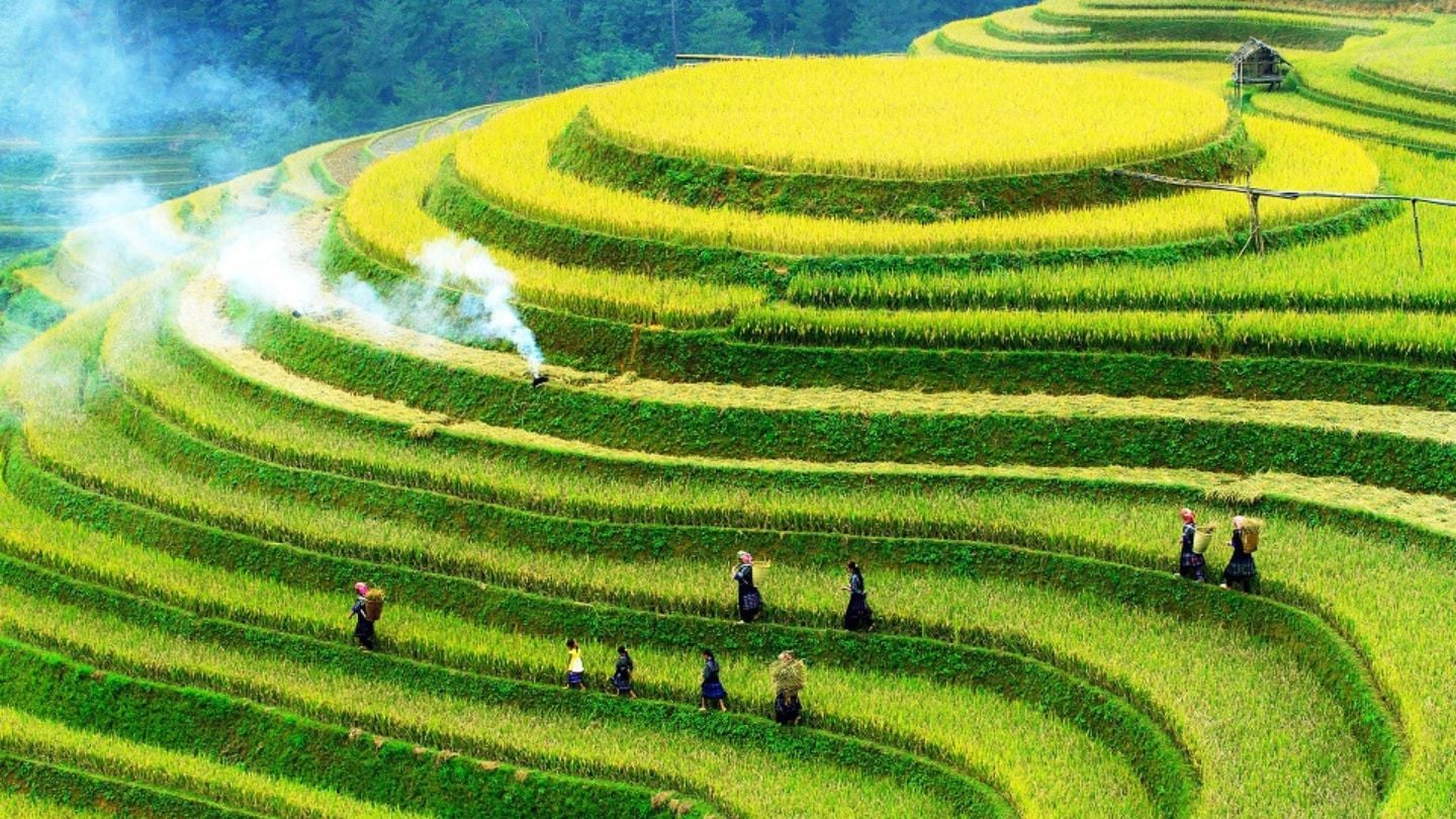 Best Time to Visit Sapa: A Complete Seasonal Guide for 2026 Best Time to Visit Sapa: A Complete Seasonal Guide for 2026