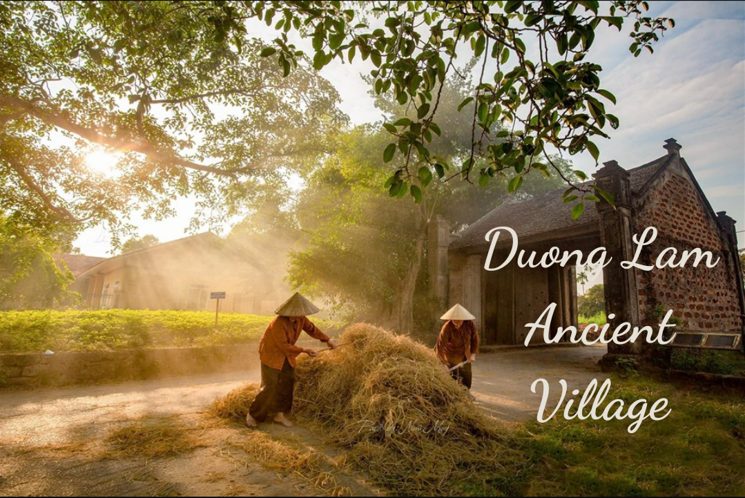 Duong Lam Ancient Village – The soul of Vietnamese villages Duong Lam Ancient Village – The soul of Vietnamese villages
