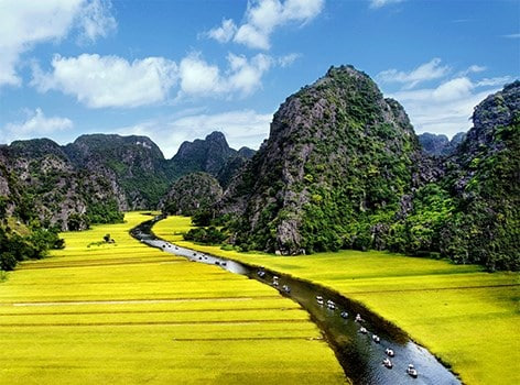 Ninh Binh Travel Guide 2026: Discover the Beauty of Limestone Mountains and Golden Rice Fields
