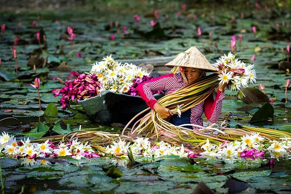 Mekong Delta Rainy Season Guide: Everything You Need to Know About the High Water Months